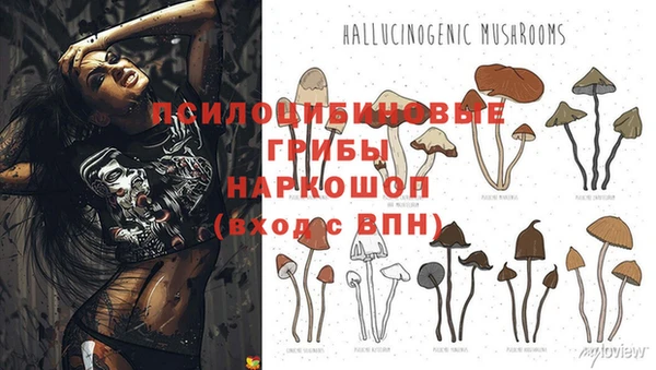 гашишное масло Алексеевка