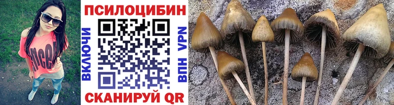 Псилоцибиновые грибы MAGIC MUSHROOMS  где продают   Болгар 