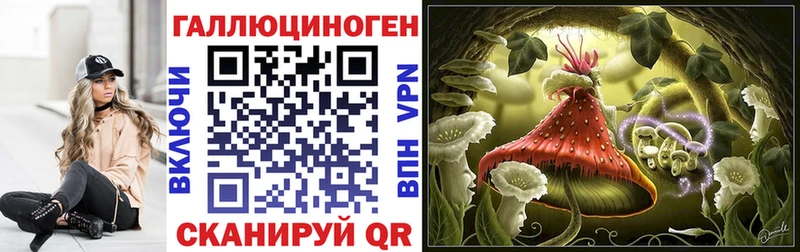 Псилоцибиновые грибы Psilocybine cubensis Болгар